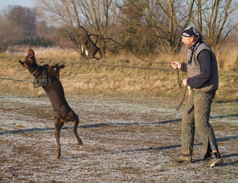 The christmas training 27.12.2006